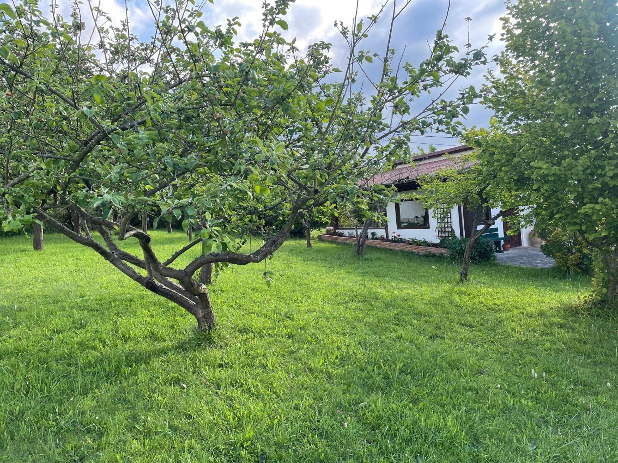 Villa Casa Benjamin Oviedo Exterior foto